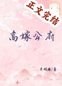 高嫁公府txt百度