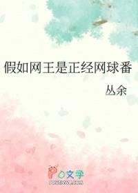 网球王子cp