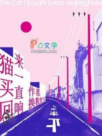 猫买回来一直响梗