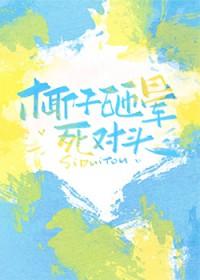 椰子砸晕死对头作者 北苍树
