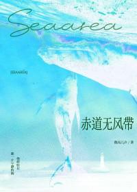 赤道无风带by微风几许讲的什么