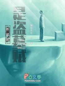 盗墓说书在线