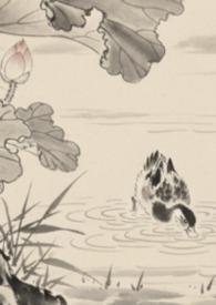 全京城都在等我扑街笔趣阁