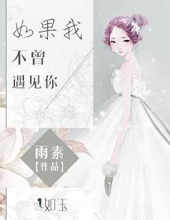 如果不曾遇到你全文