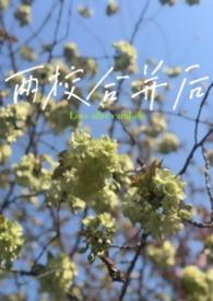 两校合并后新校名