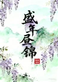 盛年锦时