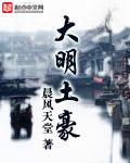 大明土豪TXT全本