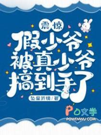 假少爷与真少爷he