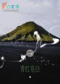 青红皂白是哪四种颜色