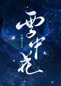 雪中花是啥意思