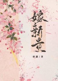 嫁新贵番外