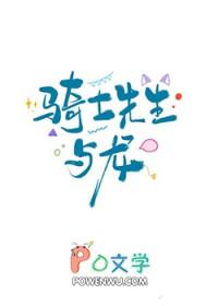 骑士先生什么意思