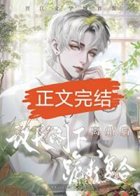 和联邦议长结婚后会怎么样