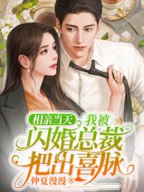 相亲闪婚宠妻