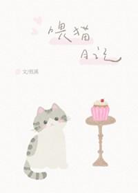 喂猫日记 txt