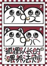排球少年里的队伍