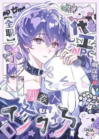 全职npc工资