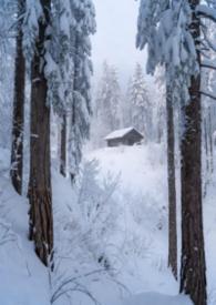 林场职工工资是多少