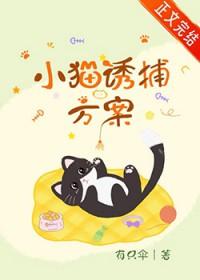 如何诱捕小野猫