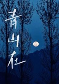 青山的全部