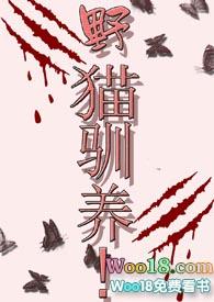 野猫驯养手则