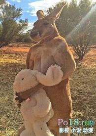 围床的帘子叫什么