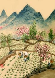 重生年代文的路人甲百度