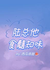 陆总他食髓知味免费