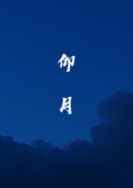 仰月纹星额上贵的图片是什么